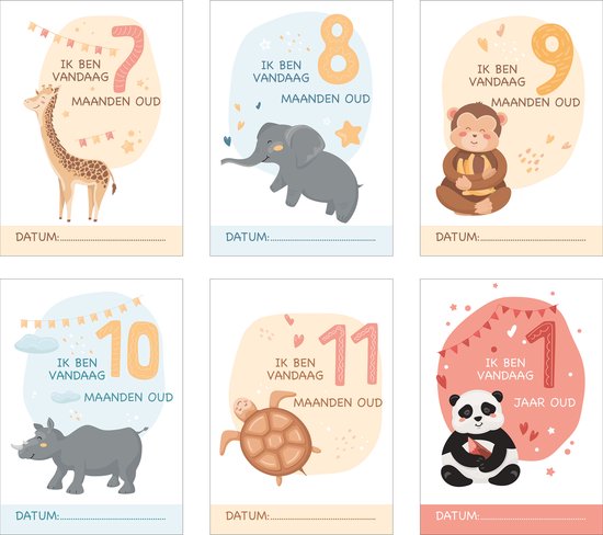 12x Mijlpaalteksten | 12 Milestone Tekst | Grote kaarten (148 mm bij 210 mm) - Milestone05NL van Milestone05NL