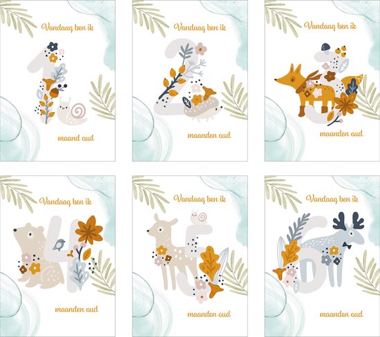 12x Mijlpaalteksten | 12 Milestone Tekst | Grote kaarten (148 mm bij 210 mm) Milestone06DZ van Jiggy Jump