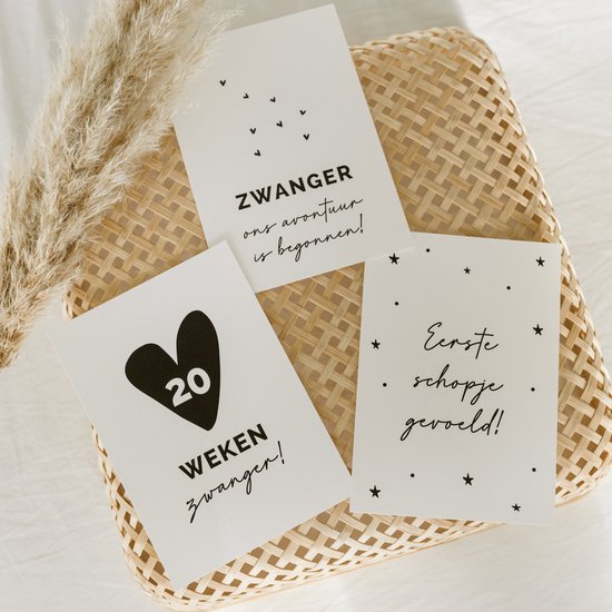 20x hippe mijlpaalkaartjes zwangerschap (A6 formaat) - milestone pregant cards - cadeau zwangerschap - kado zwangerschap - babyshower cadeau - hoera zwanger - zwangerschapsverlof - kraamcadeaus - mijlpaalkaarten zwangerschap van The Good Life