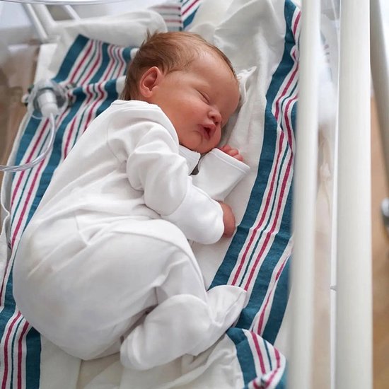 48 cm afgewerkte rebornpop, pasgeboren slapende babypop met 3D-huid, meerdere lagen beschildering en zichtbare aderen van Merkloos
