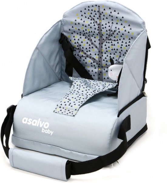Asalvo Booster Go Anywhere Nordic Grey