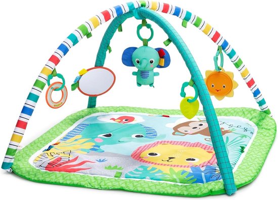 Baby Activity Gym & Play Mat met Taggies - Groen - 185x291x291 Inch van Bright Starts
