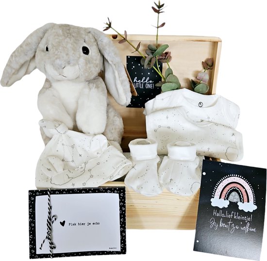 Baby Kraamcadeau Knuffelkonijn Unisex - baby geschenkset Unisex - baby cadeau jongen - baby cadeau meisje - unisex - baby geschenkset - kraamcadeau neutraal - baby memorie box - babyshower cadeau - gender neutraal babycadeau - 7 in 1 kado van Merkloos