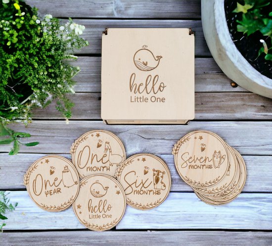 Baby mijlpaalschijven met dieren in hout - Set van 13 met opbergdoos - Zwangerschap - Babyshower - Cadeau - Zwanger - Kraamcadeaus - Baby - Geboorte - Origineel - Baby cadeau - Kraamcadeau jongen of meisje - Foto aankondiging geboorte - Kraampakket van Loua Kids