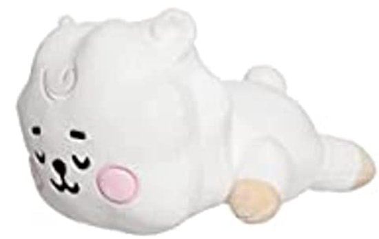 Baby Mini Kussen RJ - Zacht Speelgoed voor Kinderen van LINE FRIENDS