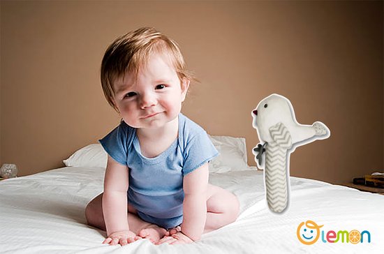 baby speelgoed 0 jaar/ babyborn/ Baby Lemon hand-zwengelen/Baby Speelgoed Cartoon Dier Hand-Zwengelen/baby cadeau/ baby shower/ volgeltje van Baby Lemon