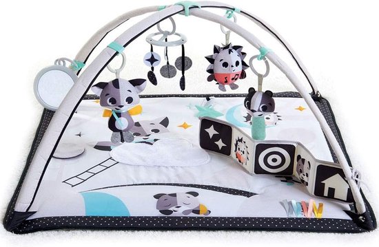 Baby Speelkleed Met Boog - Babyspeelgoed 0 Jaar - Kinderspeelgoed 1 Jaar - Speelmat - Babygym - Zwart met Wit van Playwell