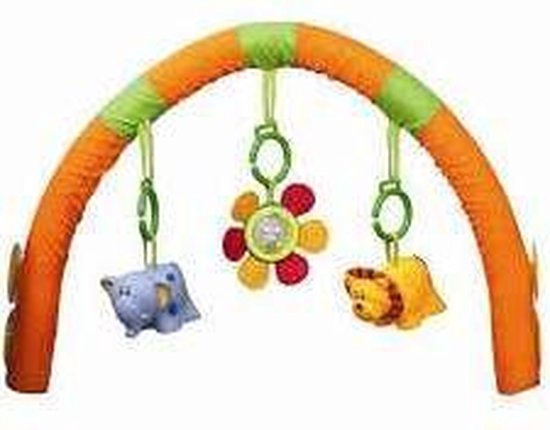 Babygym van Tiny Love