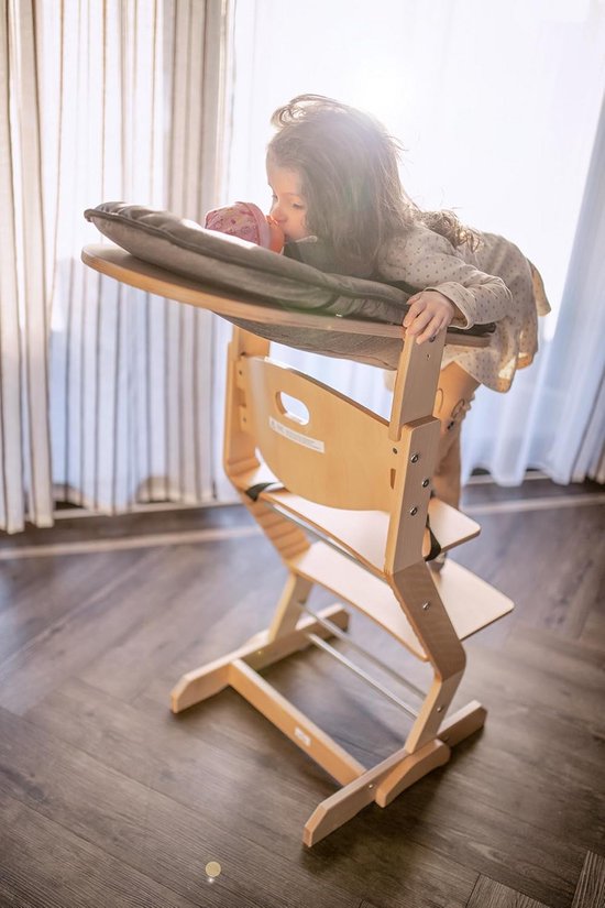 Babyzitje Bevestiging voor Hoge Stoel Vanaf Geboorte