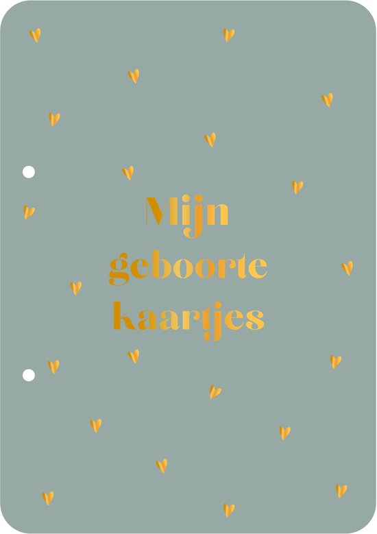 Bewaarbundel Mijn geboortekaartjes - blauw - geboortekaarten bewaarbundel - met goudfolie - A5 formaat van Merkloos