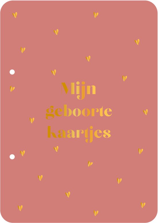 Bewaarbundel Mijn geboortekaartjes - rood - geboortekaarten bewaarbundel - met goudfolie - A5 formaat van Merkloos