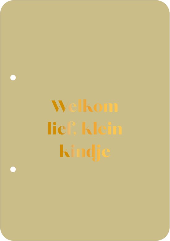 Bewaarbundel Welkom lief klein kindje - groen - geboortekaarten bewaarbundel - met goudfolie - A5 formaat van Merkloos