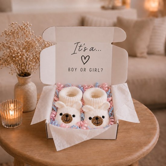 Blijeitje - Gender Reveal Cadeau – Babyslofjes Unisex Cadeau –Zachte Newborn Slofjes 0-3 Maanden – Gender Reveal - Beren slofjes Boy or Girl Design