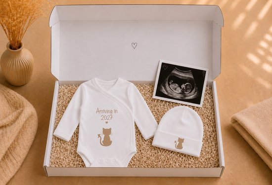 Blijeitje – Zwangerschapsaankondiging Baby Verwacht in 2027 – Luxe Kraamcadeau Set met Romper & Mutsje – Babyshower Cadeau – Newborn Geschenk Cats Design