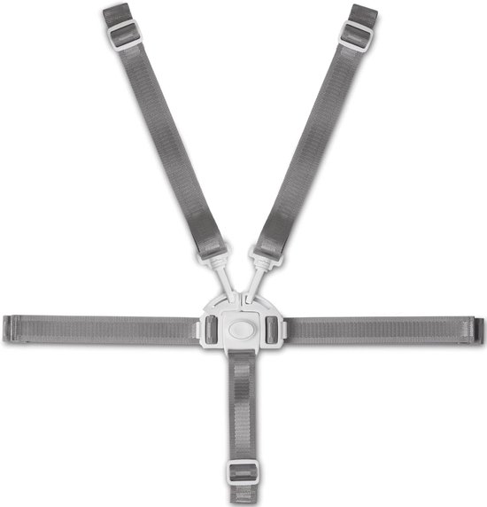 Bondoo Tuigje kinderstoel - Veiligheidstuigje - Tuigje kind - 5 Punts Gordel - Grijs van Bondoo