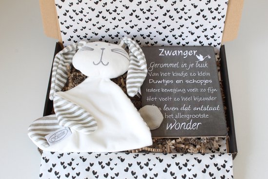 Brievenbus cadeau Knuffel konijn wit - cadeau zwangerschap - cadeau baby - kraamcadeau van Elwinova