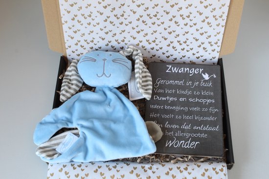 Brievenbus cadeau knuffelkonijn blauw - cadeau zwangerschap - kraam cadeau - babyshower van Whi©️te قابs.