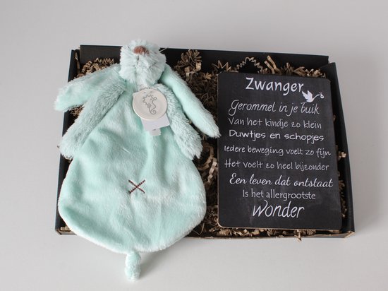 Brievenbus cadeau Rabbit Richie Lagoon - cadeau baby - cadeau zwangerschap - kraamcadeau van Happy Horse
