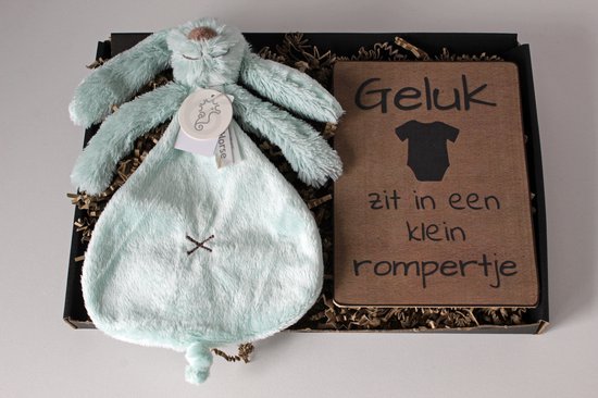 Brievenbus cadeau Rabbit Richie Lagoon - cadeau baby - kraamcadeau van Happy Horse