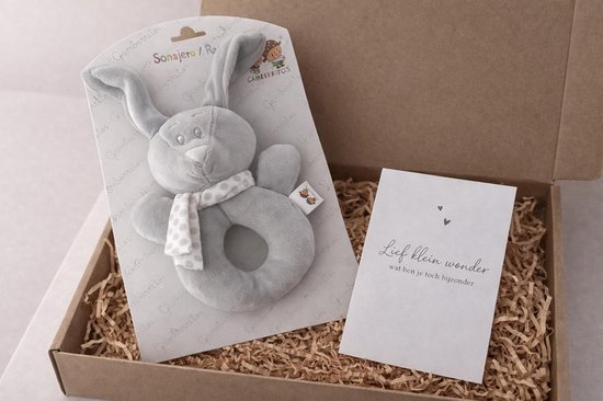 brievenbus cadeau set baby newborn - rammelaar - konijn - in verwachting | van Merkloos