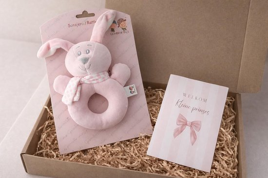 brievenbus cadeau set baby newborn | rammelaar | konijn | roze | welkom kleine prinses | meisje van Merkloos