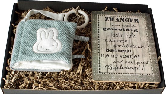 Brievenbuscadeau zwangerschap, buggyboekje nijntje tiamo green, tekstbord zwanger van Nijntje
