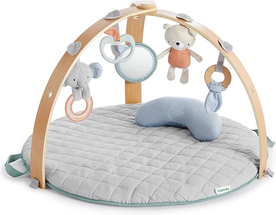 Bright Starts Ingenuity Speelkleed - Babygym - Activiteiten Gym - Cozy Spot  - Speeltapijt baby - houten boog van Bright Starts