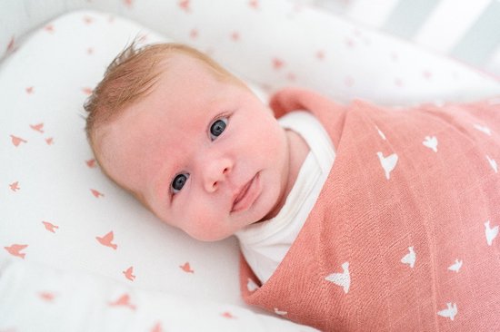 Briljant Baby Hydrofiel Multidoek XL Birds - Swaddle - Inbakerdoek - 120x120 - Ash Rose - 2 Stuks - Organic van Briljant