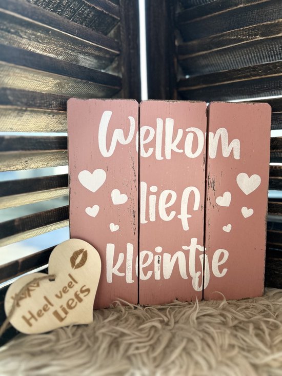 Creaties van Hier –Tekstbord welkom lief kleintje met hartje – baby Roze - 20 cm – Kraamcadeau - baby van Merkloos