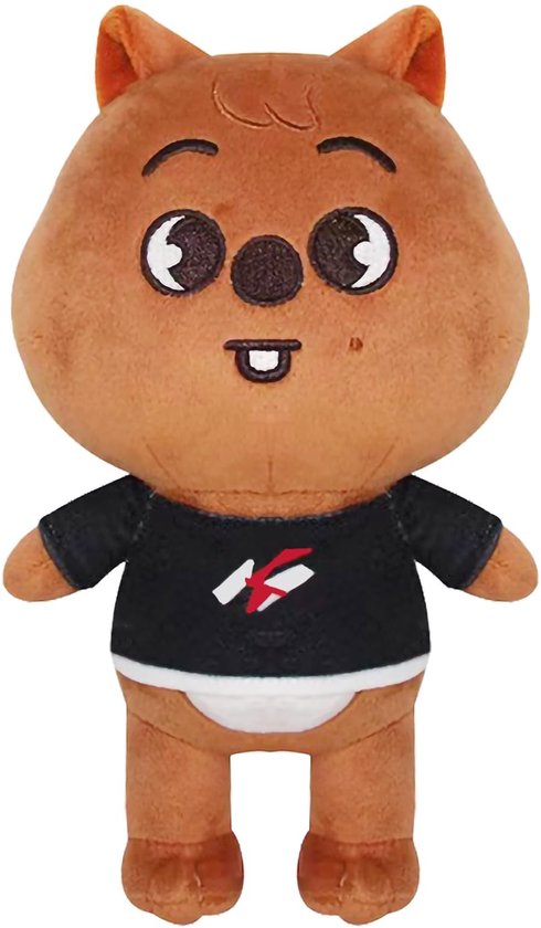 Dailygoods- Teddy Knuffel - Geanimeerd Speelgoed - Zachte Pluche - 13 cm - Handzaam - Perfect voor Kinderen - Ideaal als Knuffelgeschenk