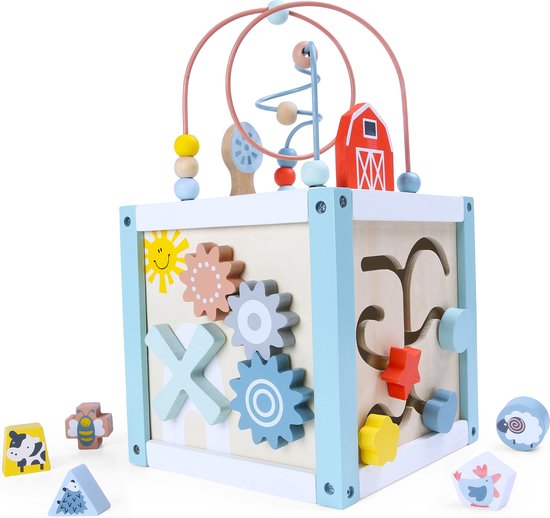 Ecotoys houten activiteiten kubus sorteerder - Educatief speelgoed voor handvaardigheid ontwikkeling - Geschikt vanaf 18 maanden - 22 x 22 x 22 cm - Montessori speelgoed - Hout van Ecotoys