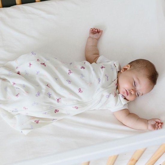 Ergobaby Slaapzak Classic Windsong - 0-6 mnd - met rose / lila van Ergobaby