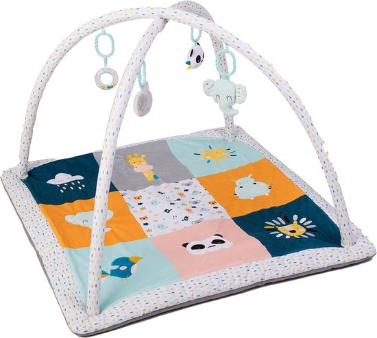 Eurekakids Babygym met Extra Dik Speelkleed (3 cm) - Babykleed met Verschillende Texturen - Met Boog van Eurekakids