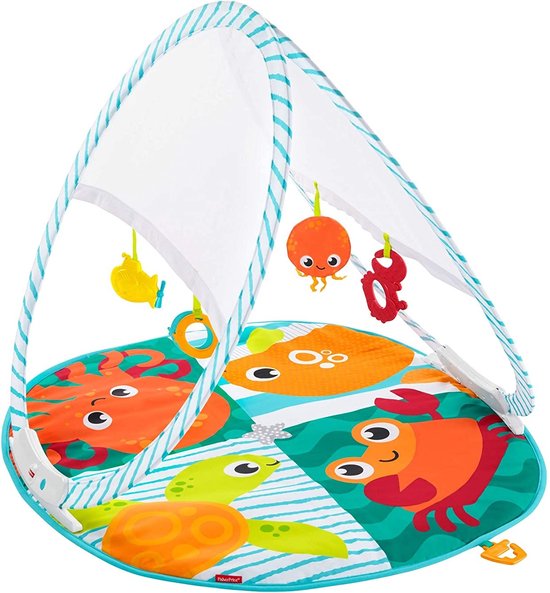 Fisher Price Draagbare Gym van Fisher Price