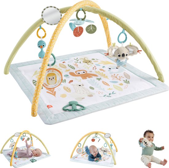 Fisher-Price Simply Senses gym voor baby's - Babygym van Fisher Price