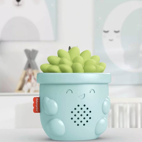 Fisher-Price Soothe & Go Succulent Kinderwagen baby speelgoed muziek speeltje - Vetplant - 20x10x8cm van Fisher Price
