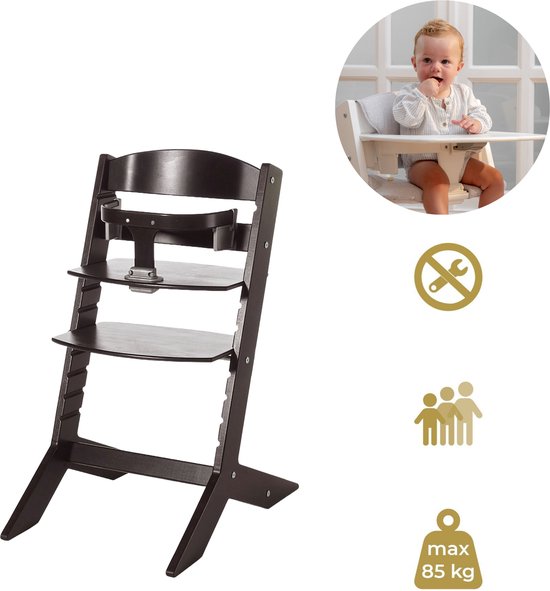 Geuther Houten Kinderstoel - Syt - Meegroeistoel voor kinderen van 6-36 maanden - inclusief eetblad - 5-punts veiligheidsgordel - 61x49x83cm - Zwart van Geuther