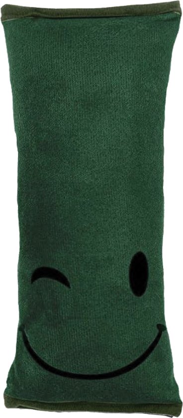 Gordelhoes Kind Groen - Gordelkussen - GordelBeschermer - Autogordel beschermer - Slaapkussen Auto - Gordelhoes Auto - Nekkussen Kind van Merkloos