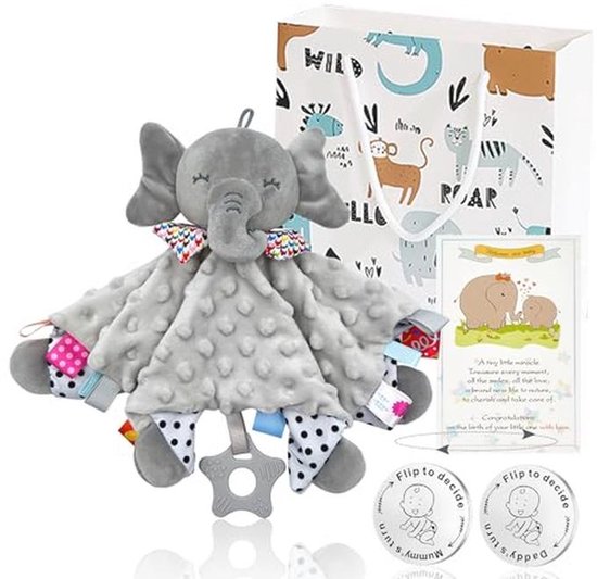 Grappige Ouderlijke Beslissingsmunt Cadeauset voor Pasgeborenen van Merkloos