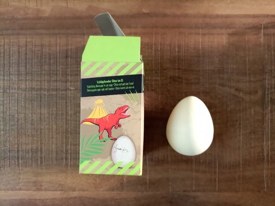 groei ei dino - verrassingsei - schoencadeau jongen van Jumi