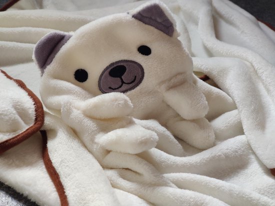 Groot Baby deken, Baby reisdeken, Figuur deken, Beertje, knuffel, dekentje, knuffeldeken, fleece, 80x100 van DaniKids