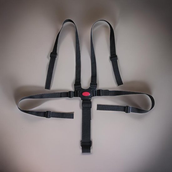 Handig Kinderstoeltuigje - 5-Punten Harnas voor uw Baby - Veiligheidsgordel voor Kinderstoel van Awroutdoor