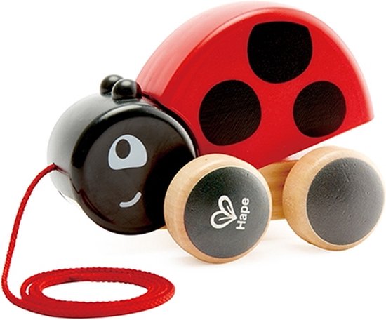 Hape Lieveheersbeestje Met Koord 13 Cm van Hape