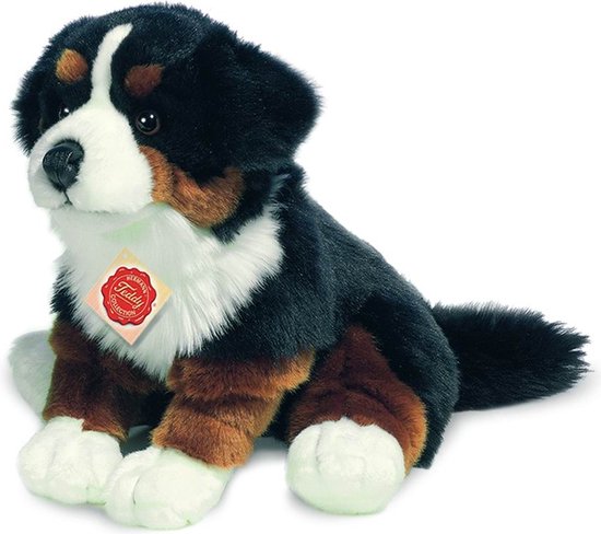 Hermann Teddy Berner Sennenhond 928713 van Hermann Teddy
