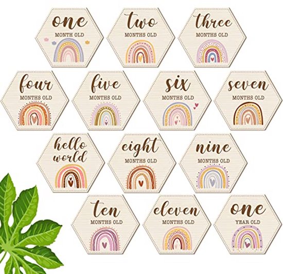 Houten Baby Mijlpaal Kaarten Set - 13 Stuks Maandelijkse Groei Teken Schijven voor Foto's
