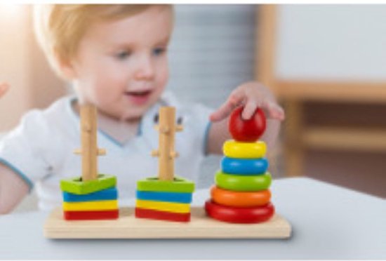 Houten puzzel- Houten blokken/vormen sorteren van Primi Passi