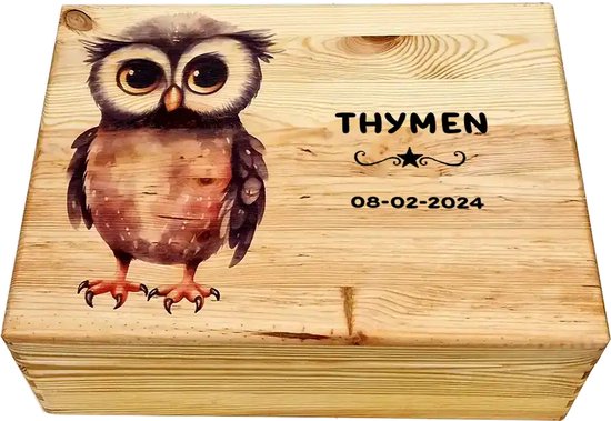 HoutenFrits - Herinneringskist - Geboortekist - met uil - Personaliseerbaar met Baby Naam van HoutenFrits