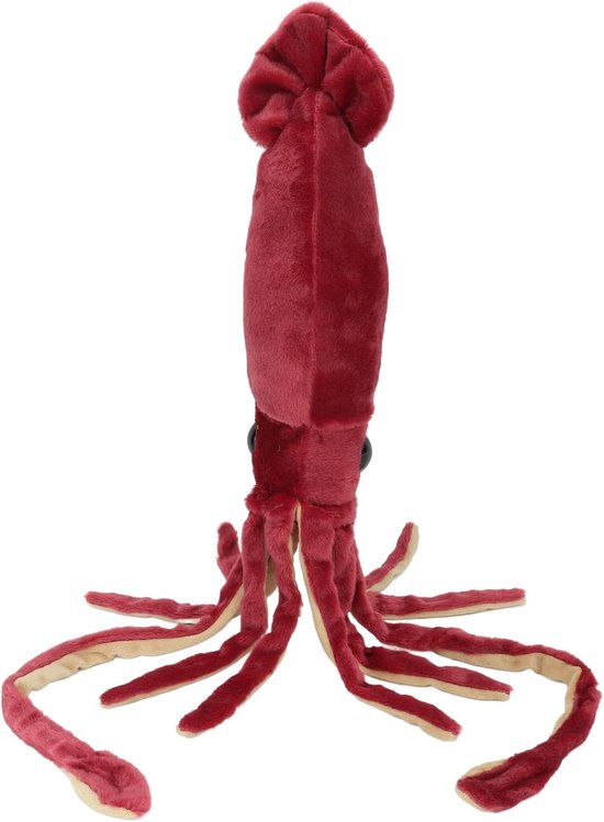 Inktvis knuffel - Zeedier pluche - Knuffelen spelen - Zacht PP-katoen - 30 cm - Rood van Merkloos