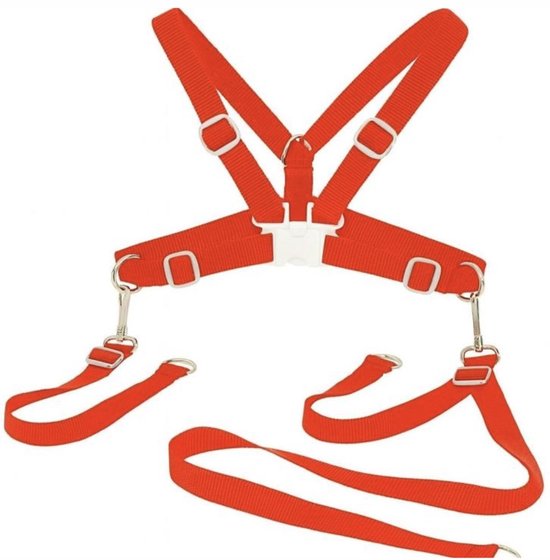 ISI Mini Veiligheidstuigje voor Kinderen met Looplijn - Rood - Verstelbaar & Comfortabel - Ideaal voor Wandelen & Spelen van Merkloos