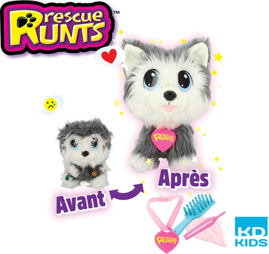 KD Group husky puppy om te redden en te genezen, vanaf 3 jaar